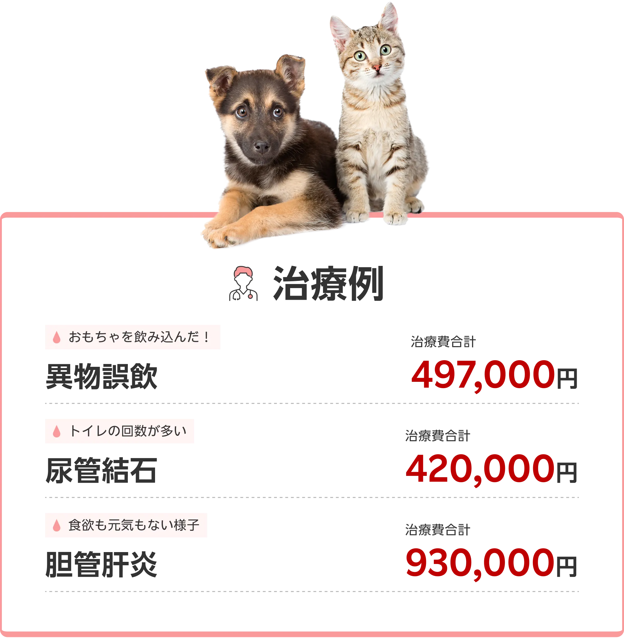 治療例 1.おもちゃを飲み込んだ！ 異物誤飲の治療費合計497,000円 2.トイレの回数が多い 尿管結石の治療費合計420,000円 3.食欲も元気もない様子 胆管肝炎の治療費合計930,000円