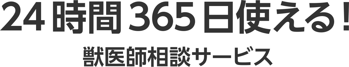 24時間365日使える！獣医師相談サービス
