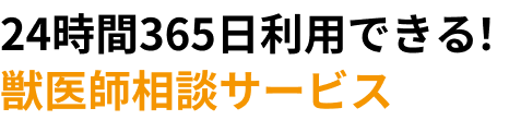 24時間365日利用できる！獣医師相談サービス